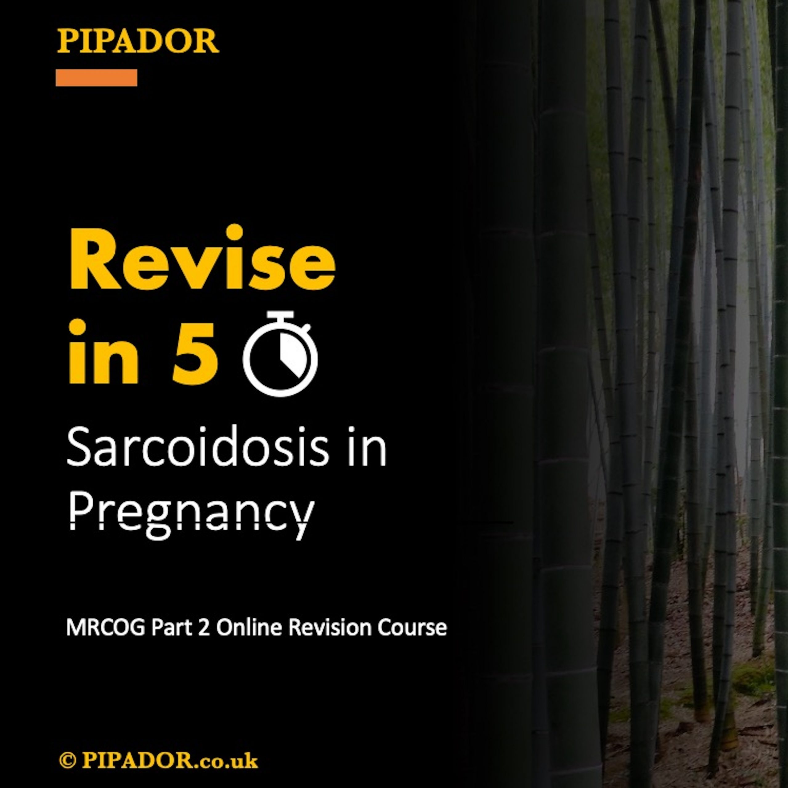 Revise in 5 – Sarcoidosis in Pregnancy