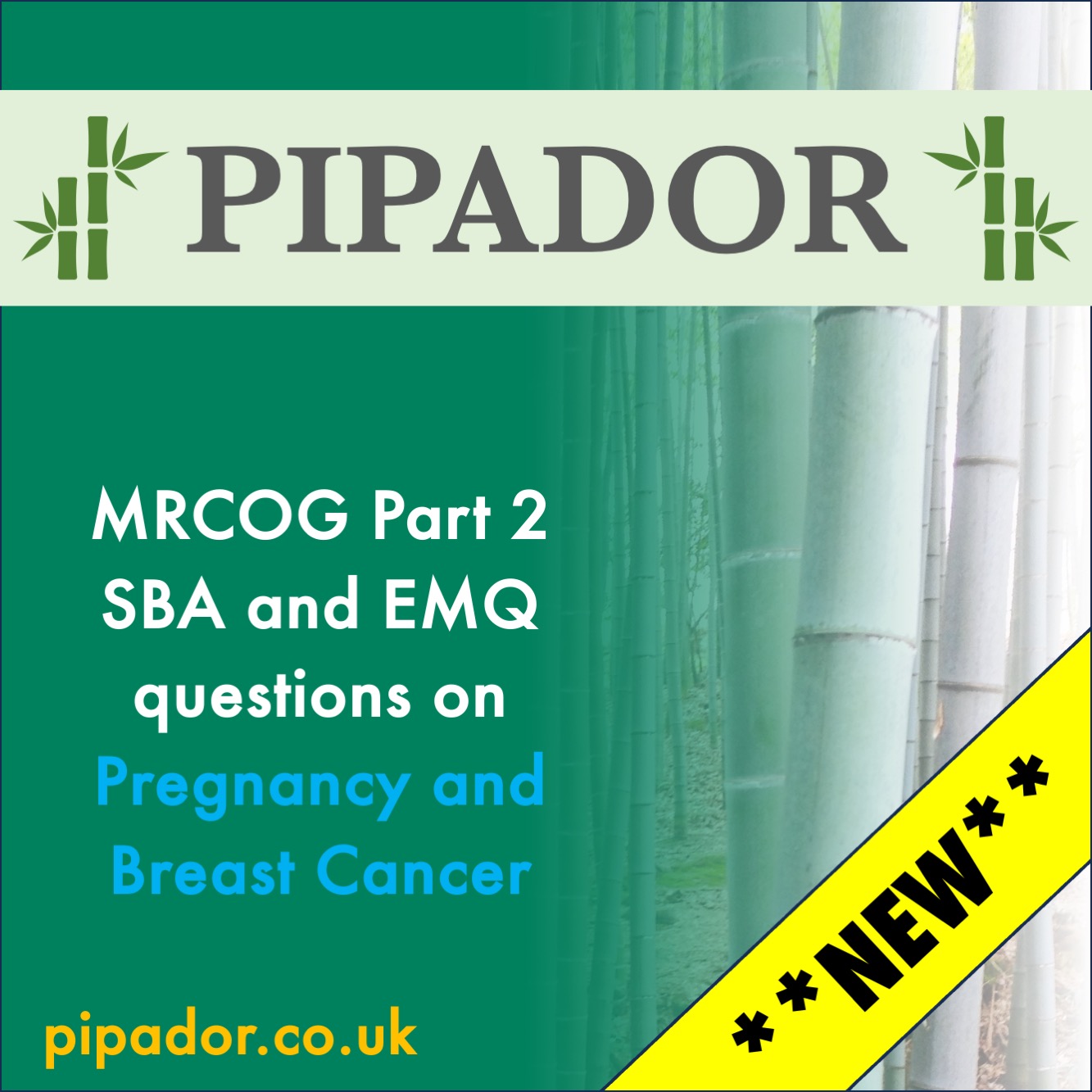 New SBA/EMQ questions on Pregnancy and Breast Cancer!