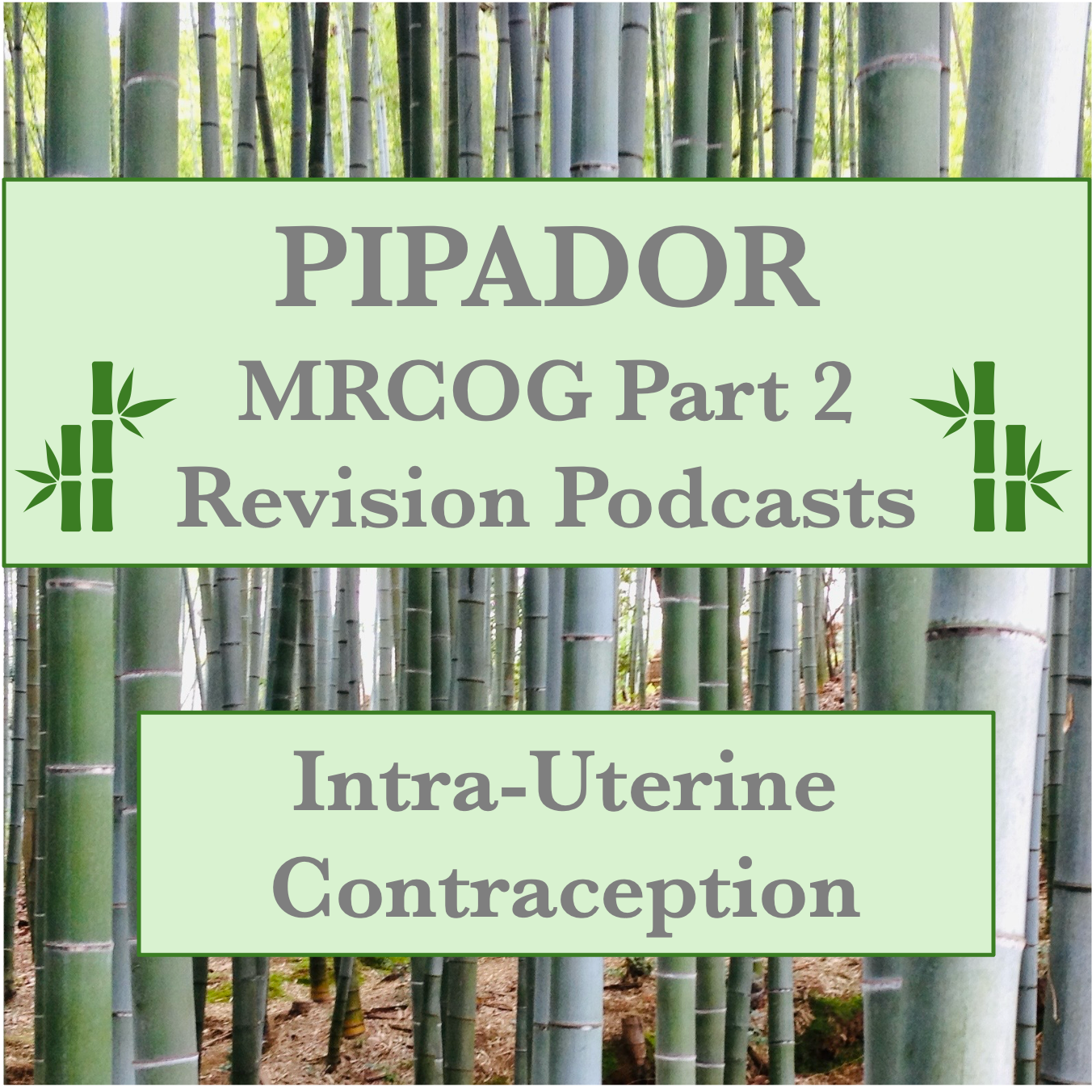 New PODCAST – Intra-Uterine Contraception