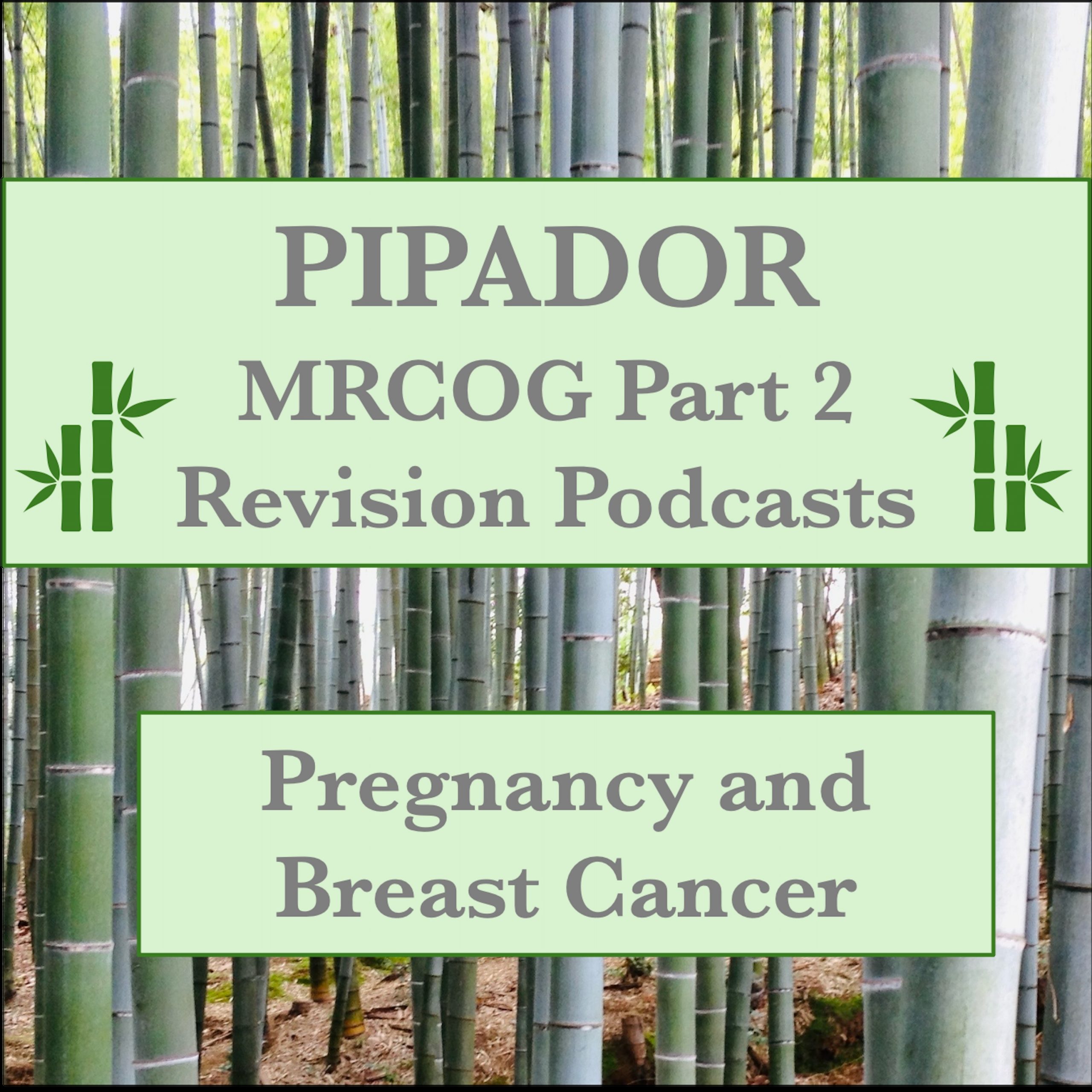 New PODCAST: Pregnancy and Breast Cancer
