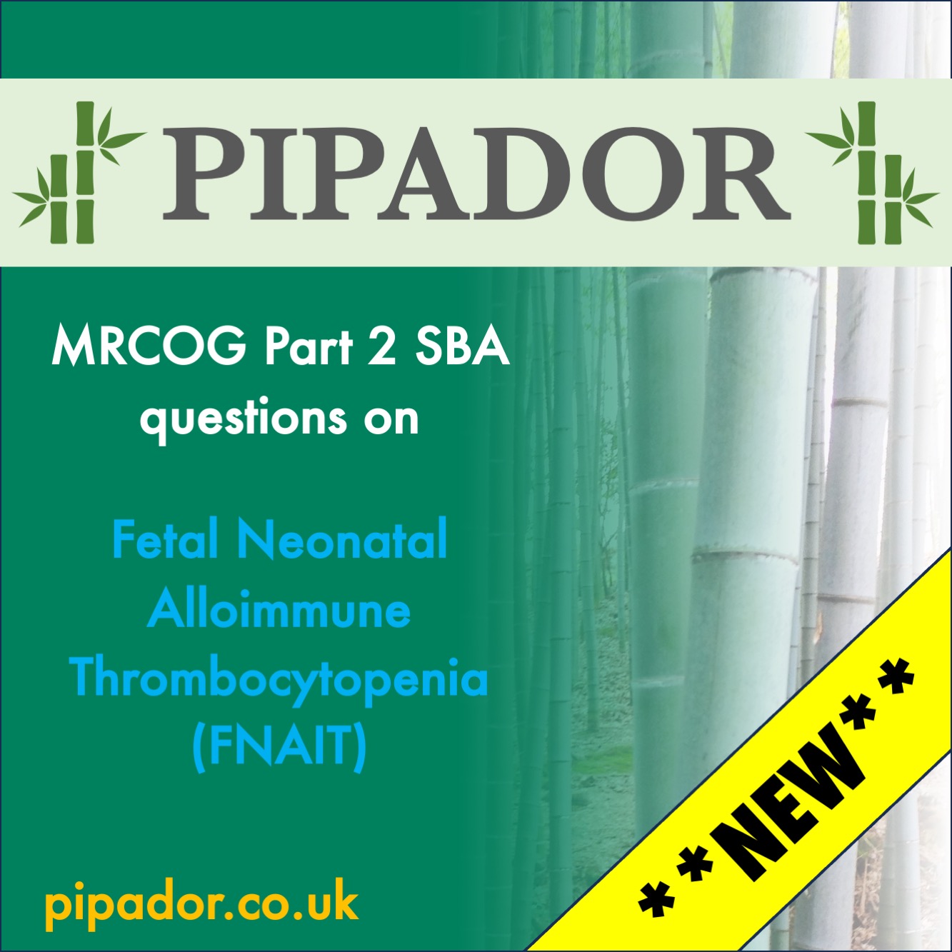 New SBA questions on Fetal Neonatal Alloimmune Thrombocytopenia (FNAIT)